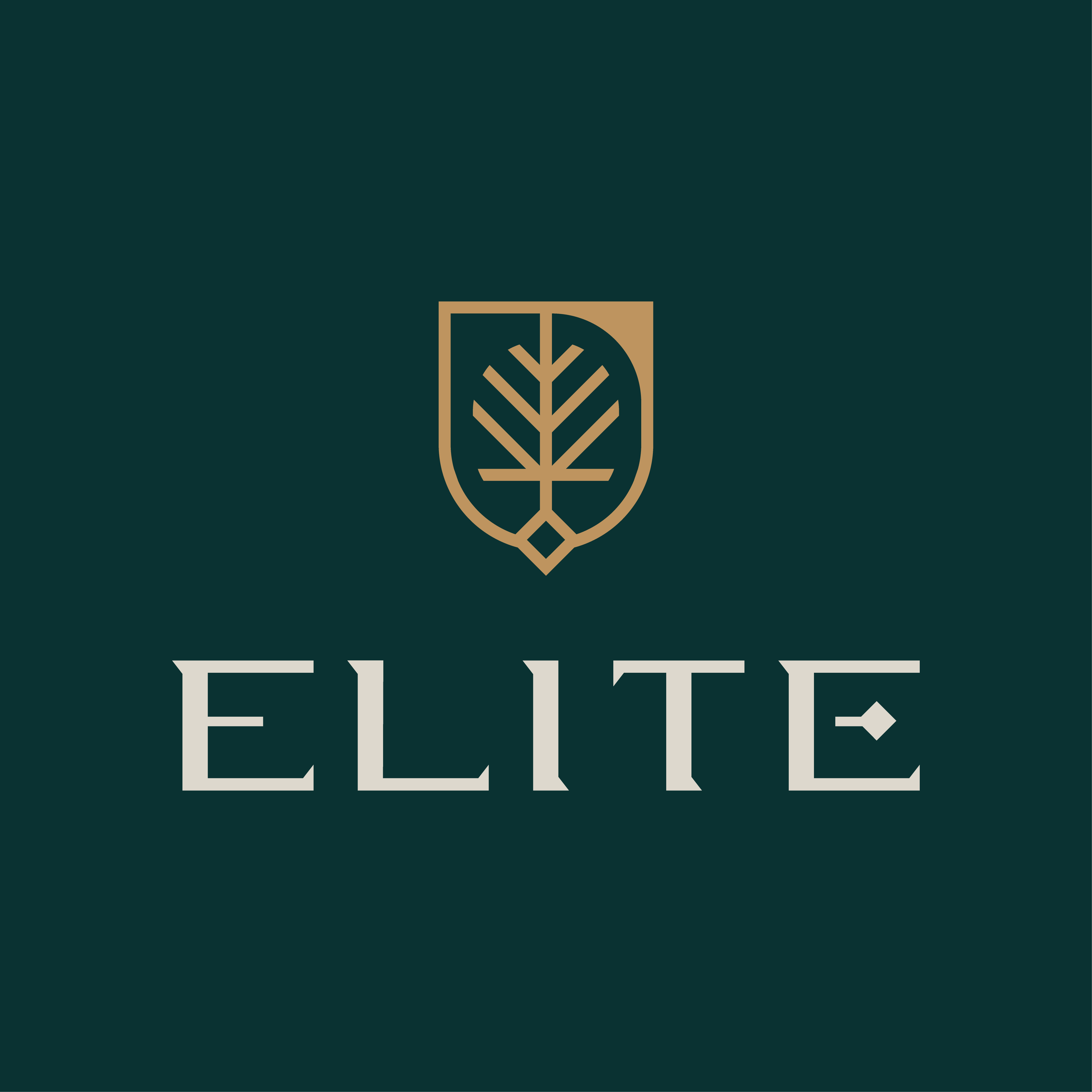 Elite Insurance & Investiment